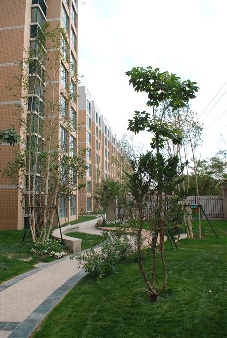 333������԰���ھֲ����۳��μ��ͣ��׾�ʵ�ģ�