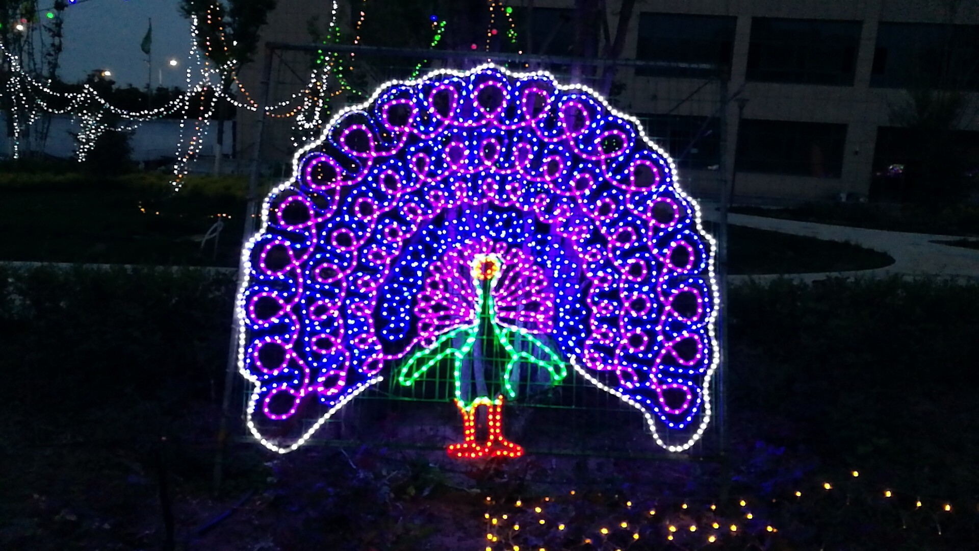 ��������333������ó�㳡�������ƹ������ڡ��Ӵ��㣡